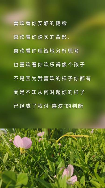 扎心情感语录#你的样子,已经成了我对"喜欢"的判断