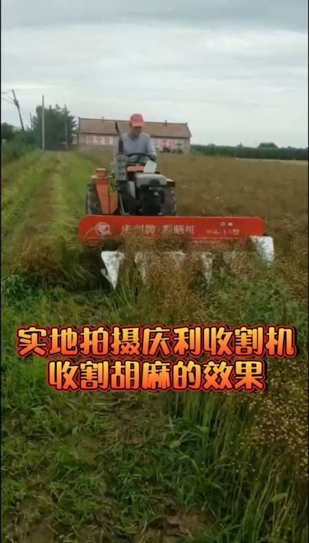 胡麻收割机#割草机看看庆利收割机收割胡麻的效果-度小视