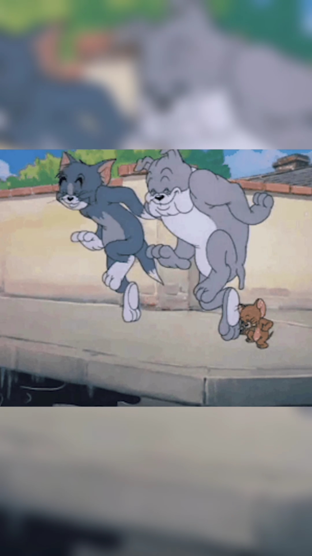 猫和老鼠三只猫走路图片