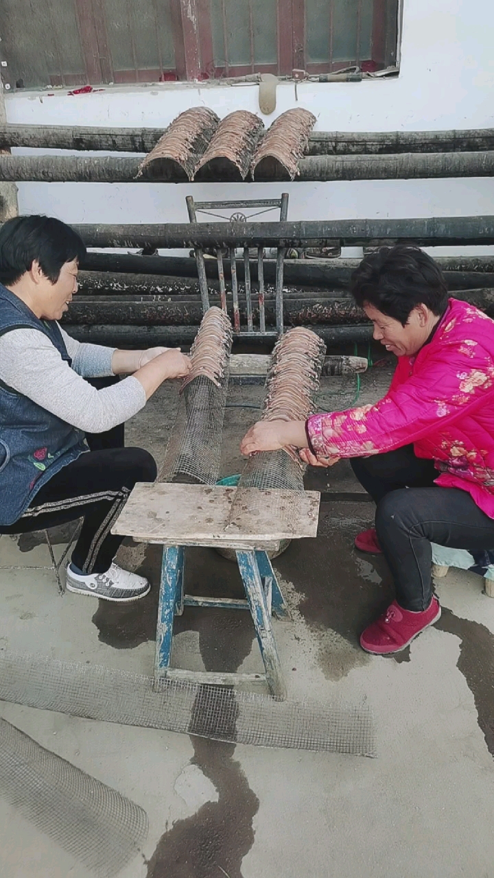 地龙加工地龙回收蚯蚓养殖蚯蚓干回收