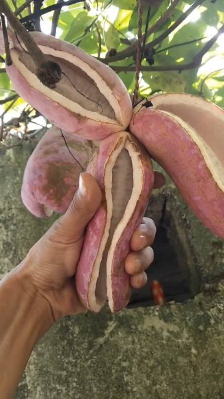 4 嘿嘿ga1天前 一点都不好吃仔太多 回复 0 单身狗hpwb11天前 羊开口