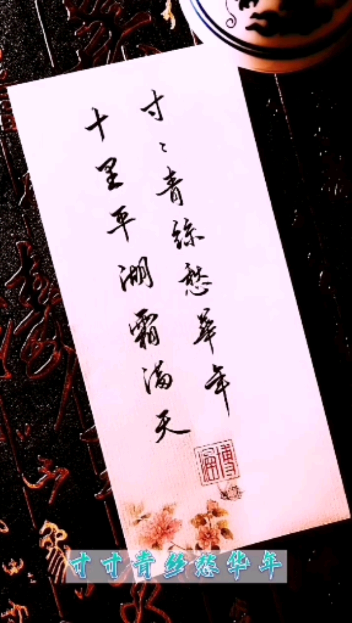 手写文字#十里平湖霜满天,寸寸青丝愁华年.