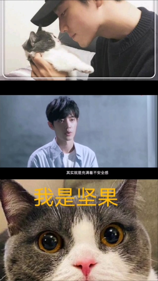 考古肖战,坚果:感谢生命中有你