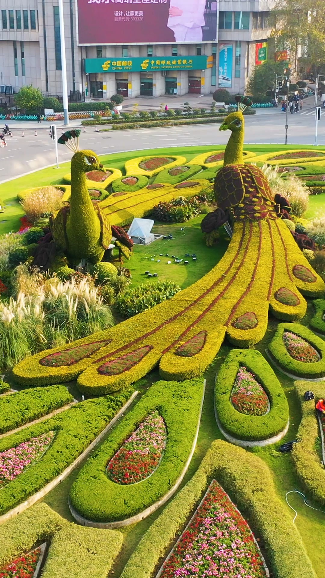 带你从不同角度看看南京鼓楼的大转盘,孔雀除了吉祥还有什么含义呢?