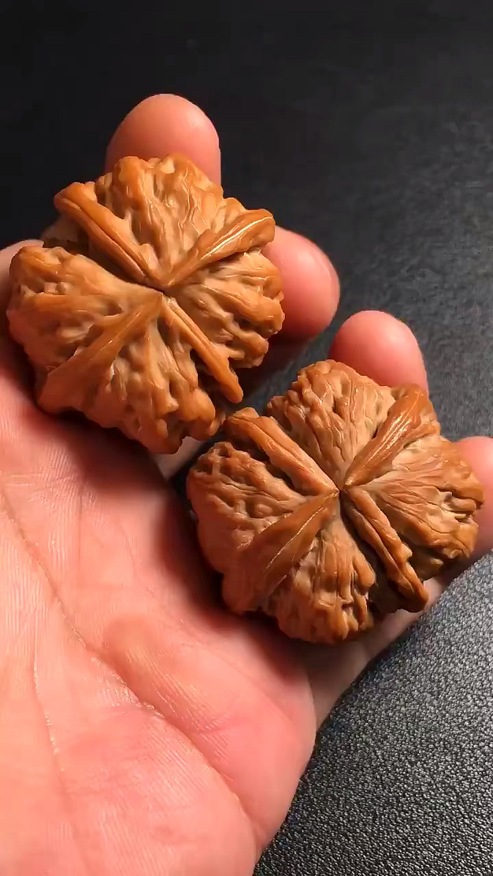 文玩核桃#罕见野狼球连l四棱