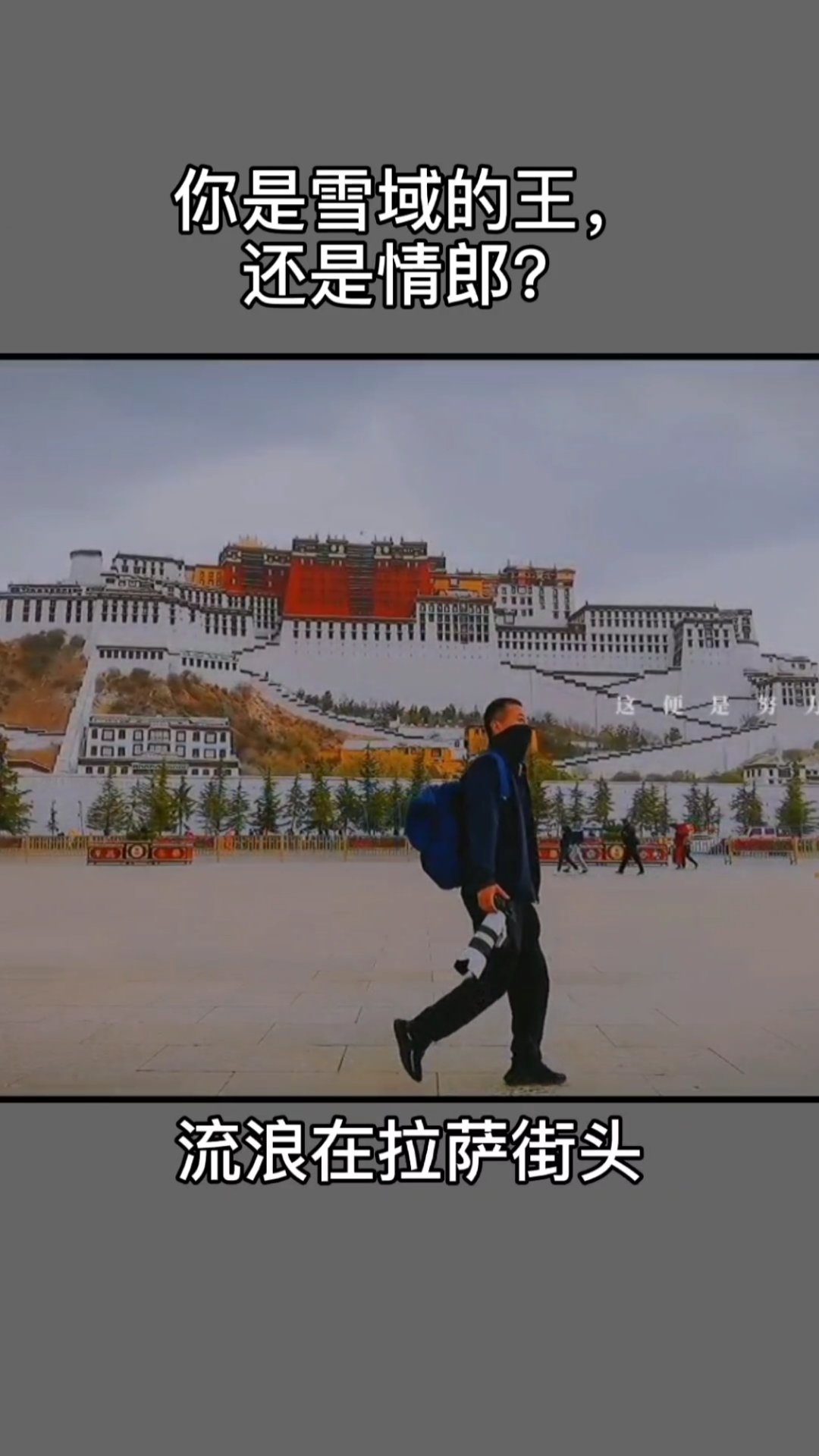 舌尖上的旅行#住进布达拉宫你就是雪域的王,流浪在街头你就是最美的
