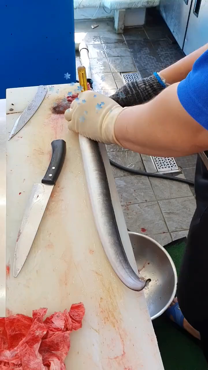 鳗鱼#分解鳗鱼,这个手法大家看看怎么样?