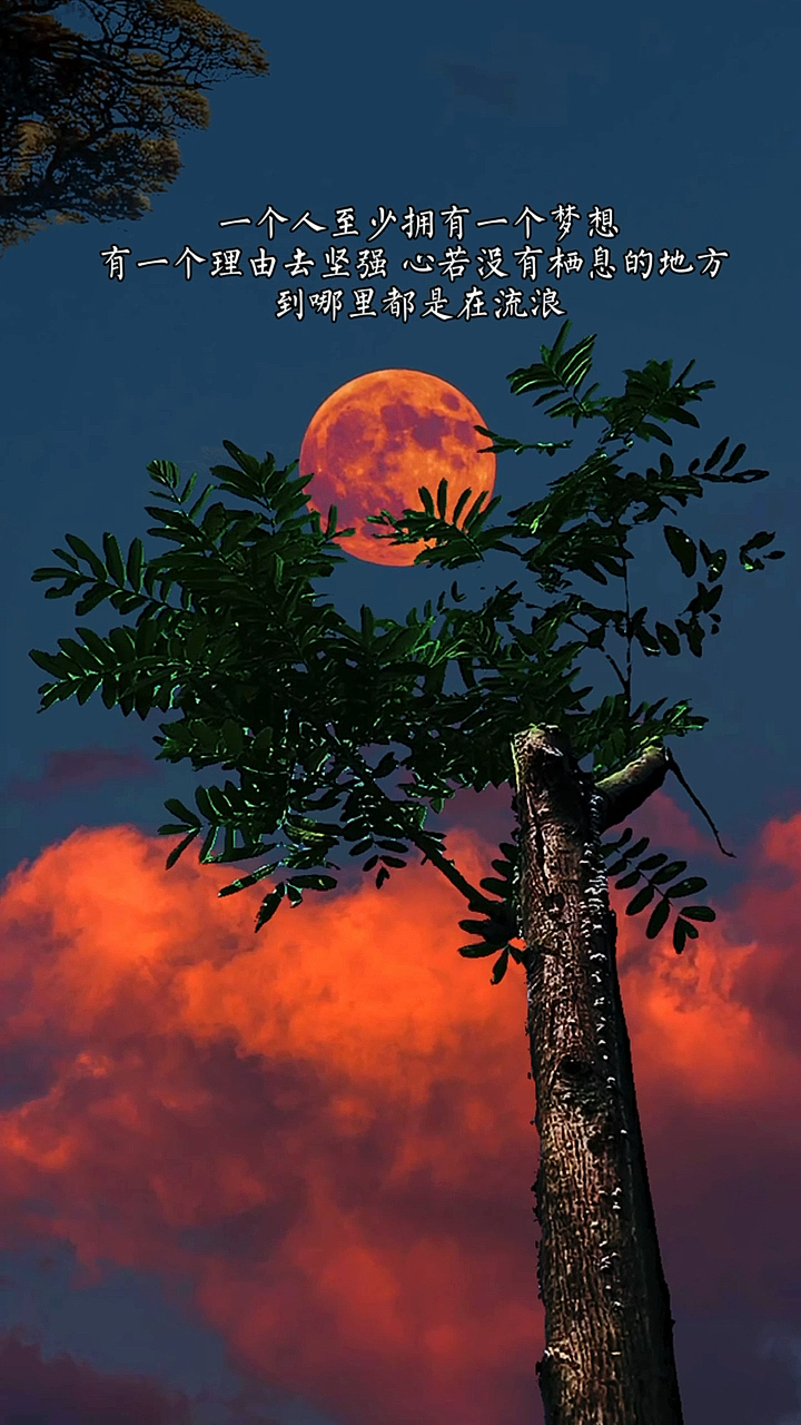 心若没有栖息的地方,到哪里都是在流浪.