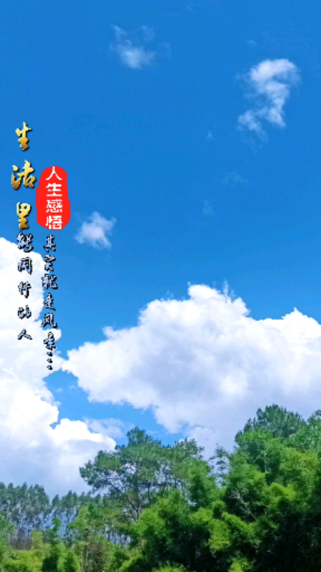 励志正能量#生活里能够和你同行的人,其实就是风景,要好好欣赏