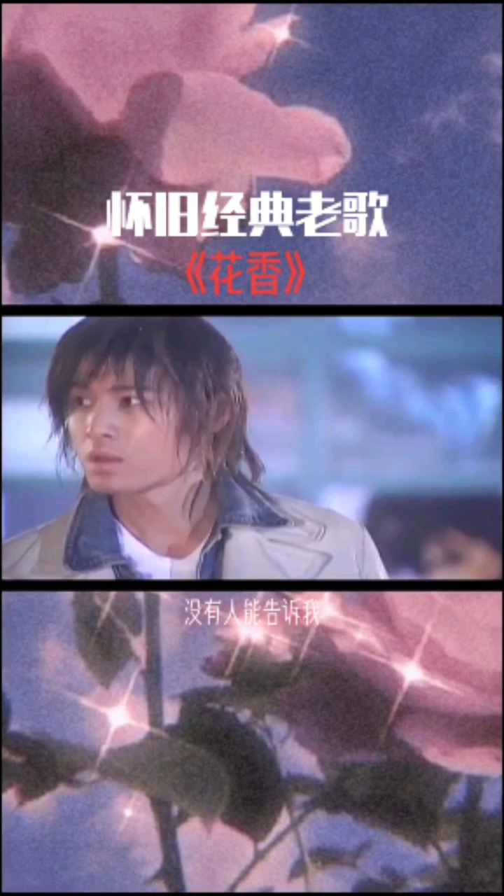 经典老歌#《花香》电视剧薰衣草主题曲,又是一首暴露年龄的歌!
