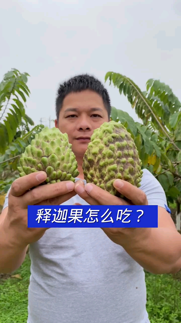 释迦果怎么吃怎么释迦果分辨成熟度