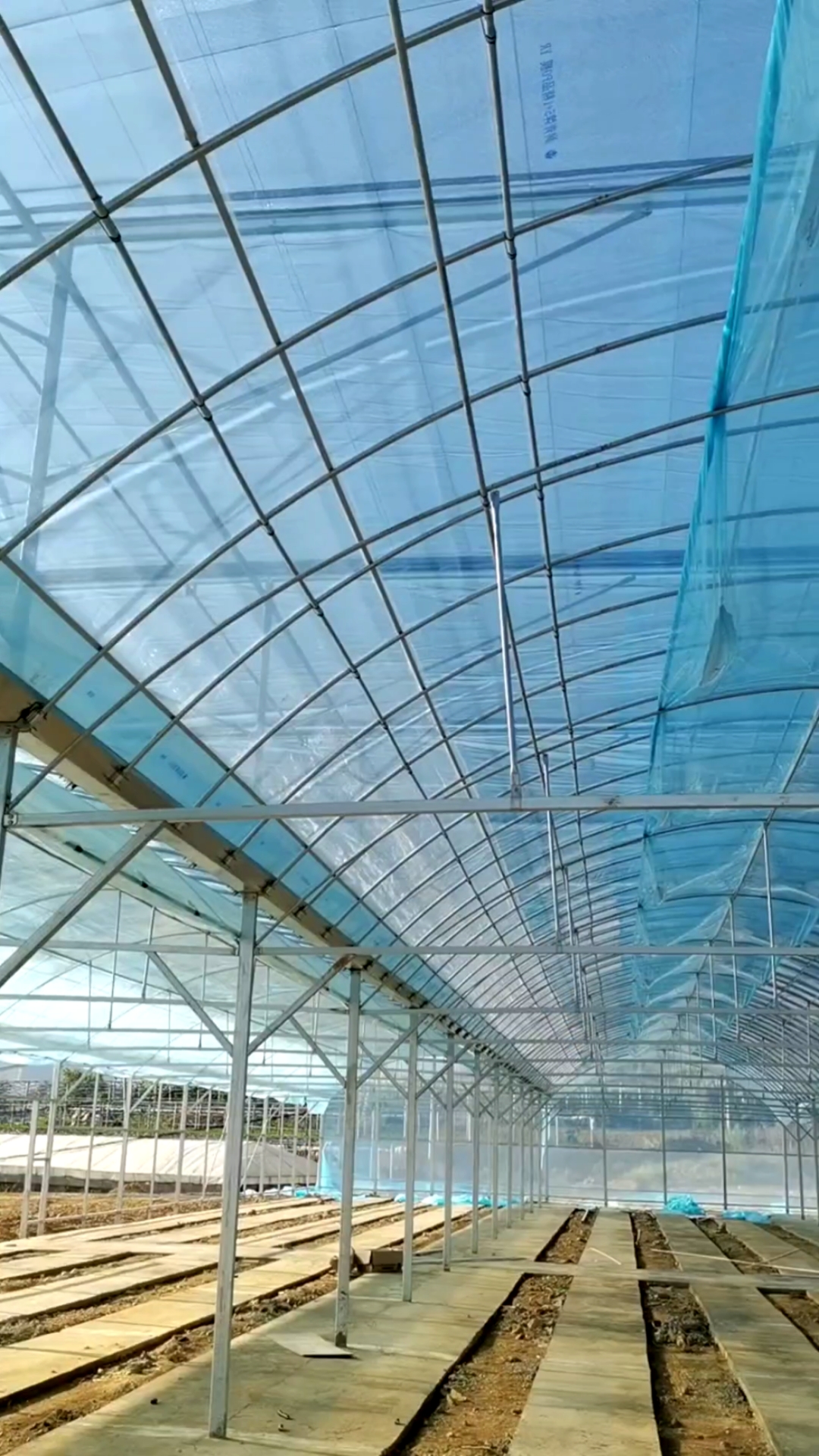 连栋温室#8430型薄膜连栋温室大棚,棚顶采用双拱形设计,保温性更好!