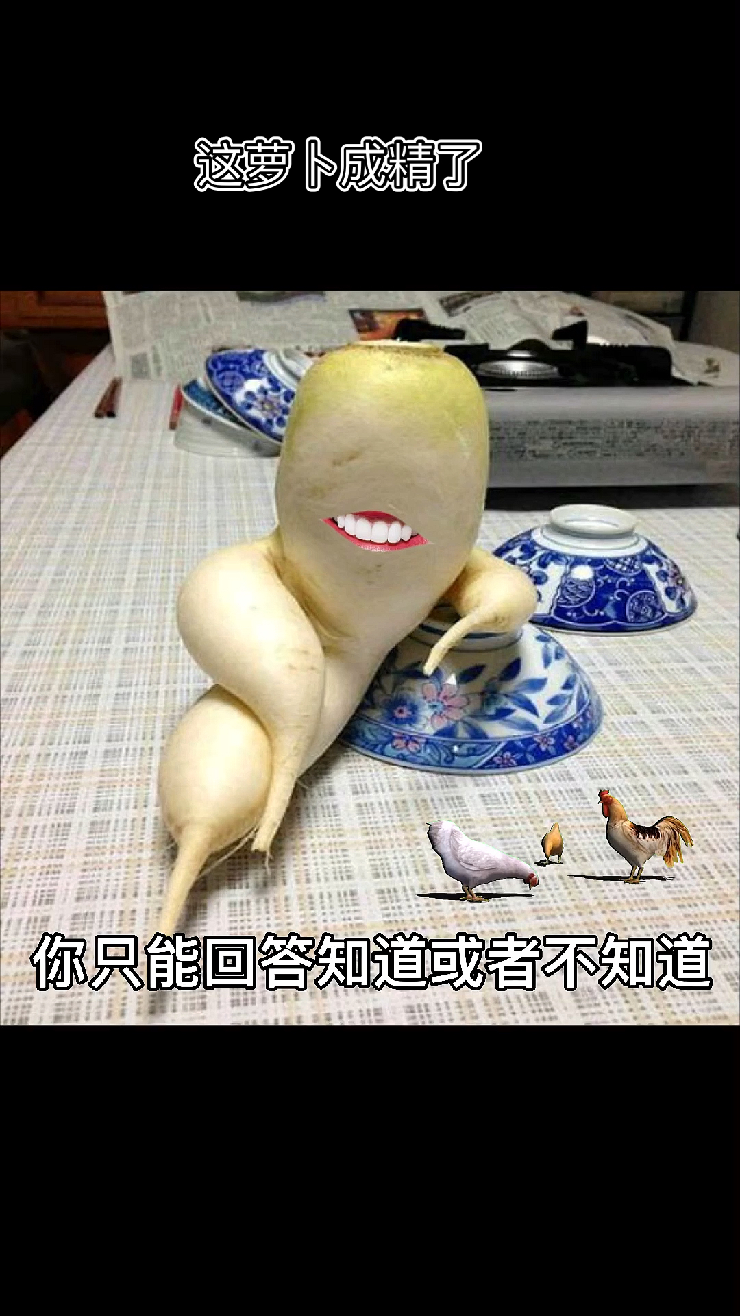 搞笑段子剧#这萝卜成精了,还对我智商挑衅