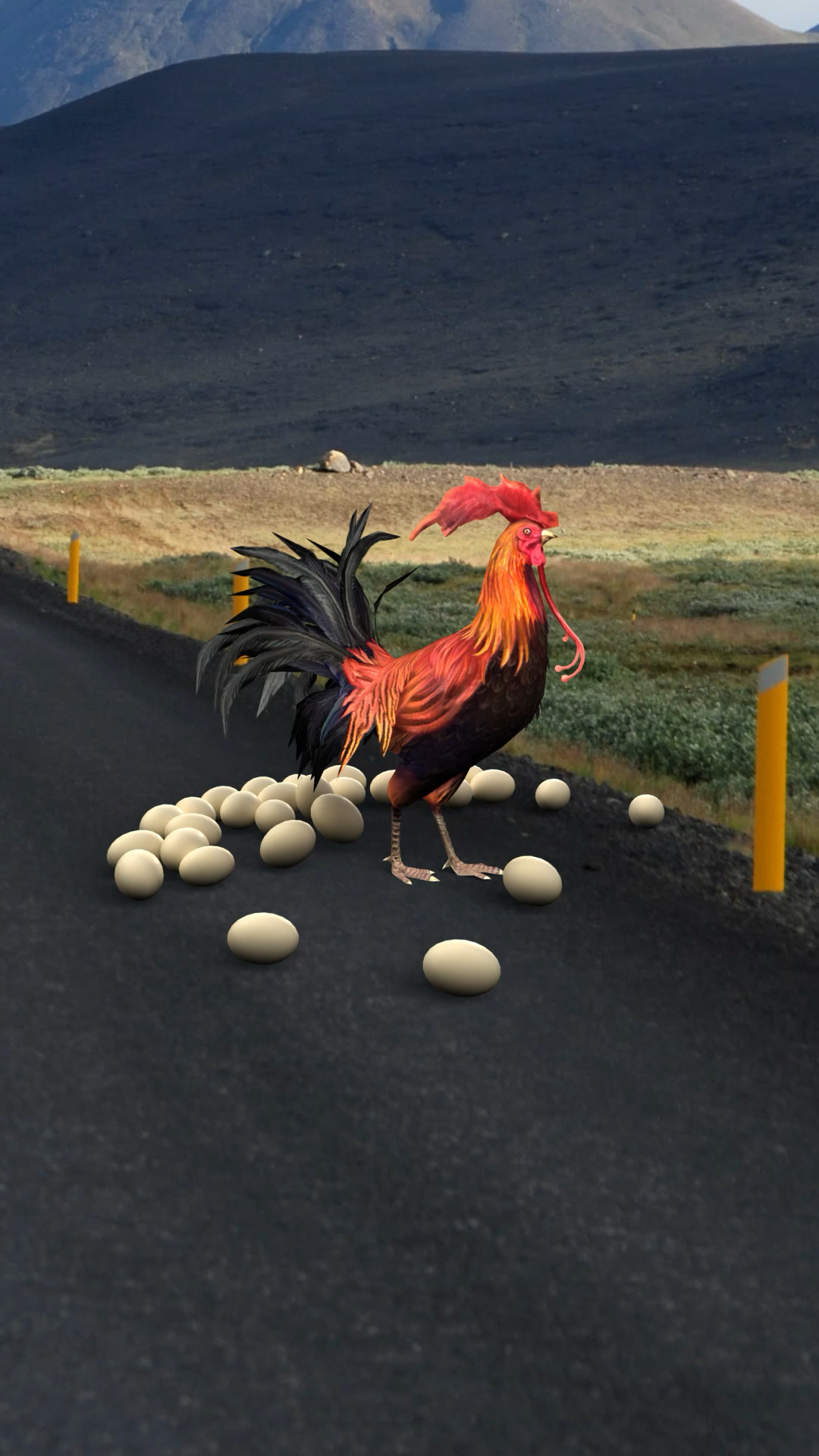 下蛋公鸡#下蛋公鸡,公鸡中的战斗鸡