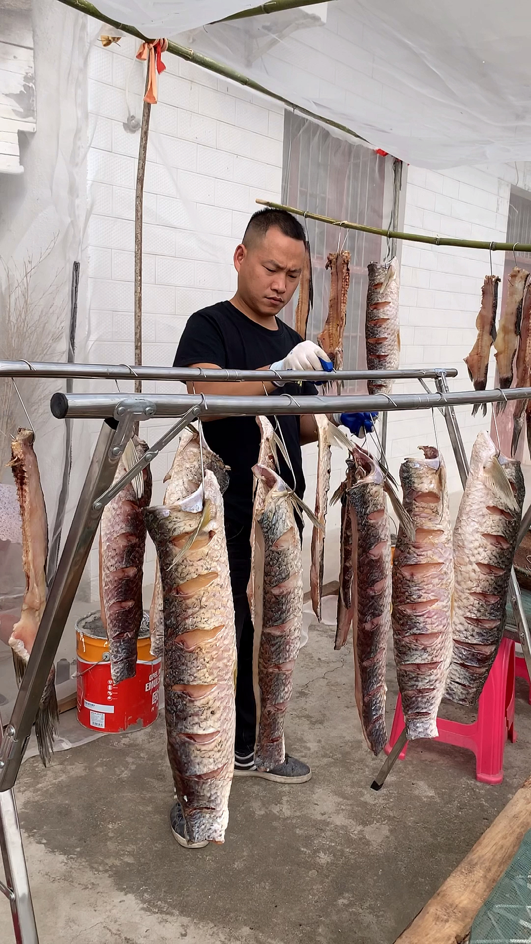 舌尖上的乡村美食#晒腊鱼