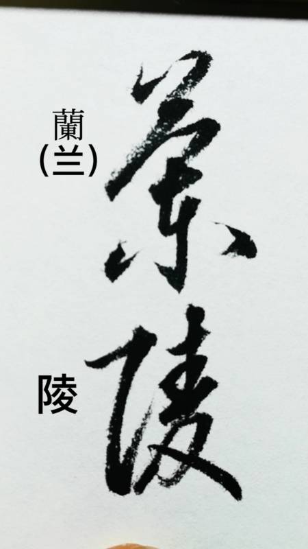 一起寫草書#蘭陵美酒鬱金香,玉碗盛來琥珀光.