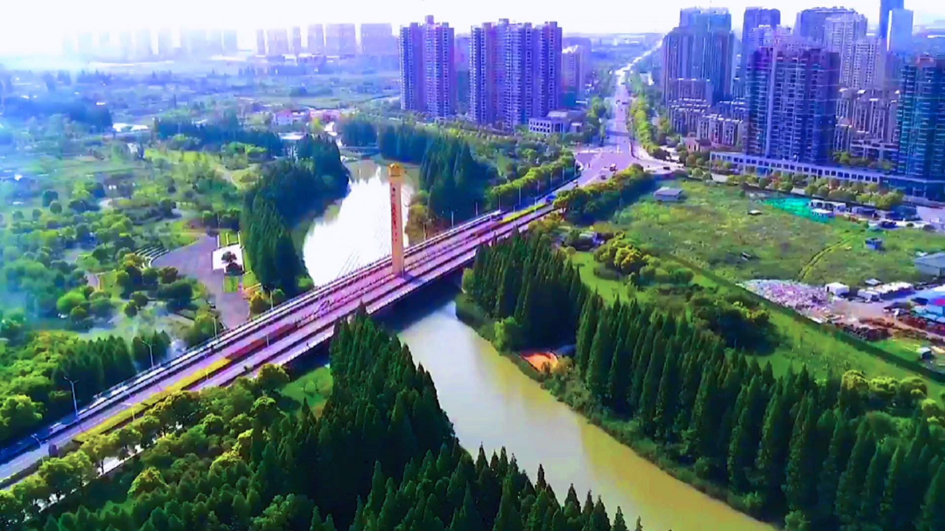 春日野餐好去处#太仓市浮桥镇距离上海30公里的一个风景不错的地方