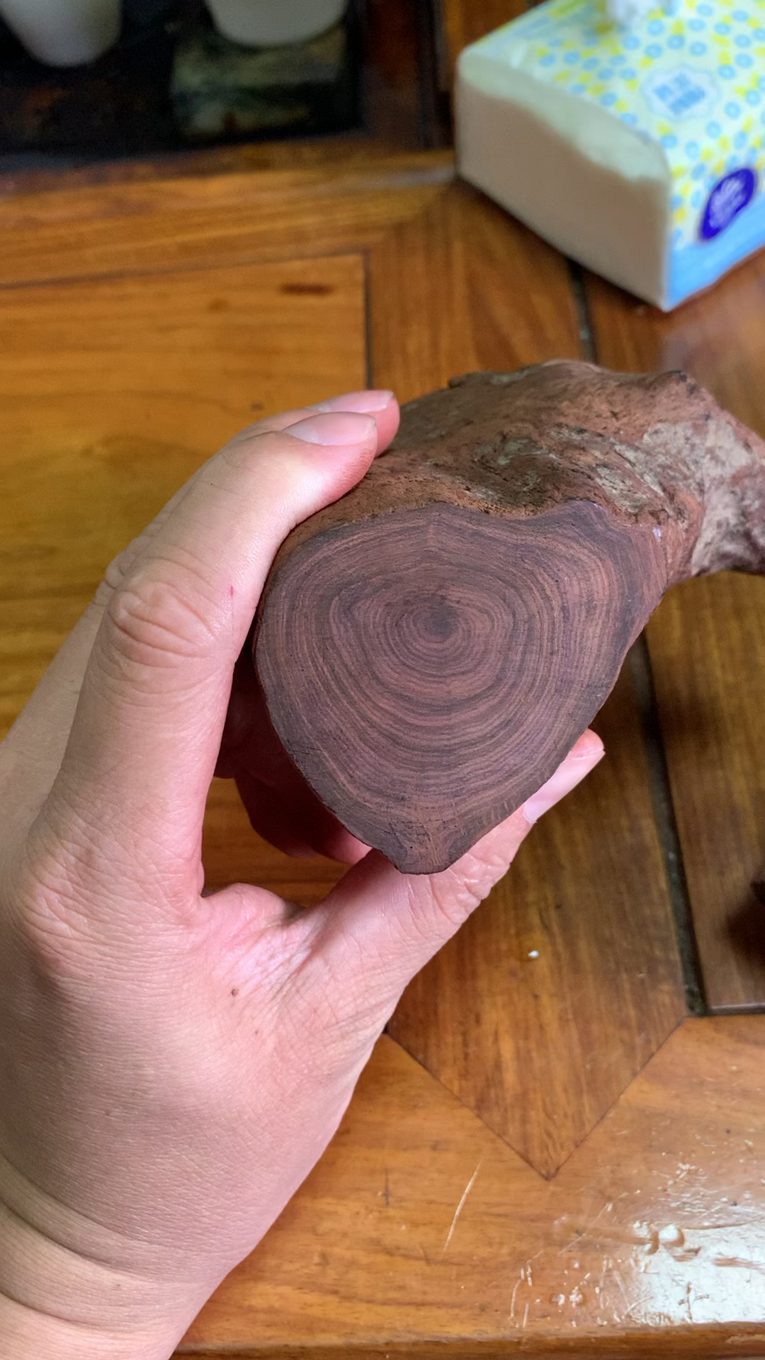 全民最牛手艺人#海南黄花梨木头-全民小视频