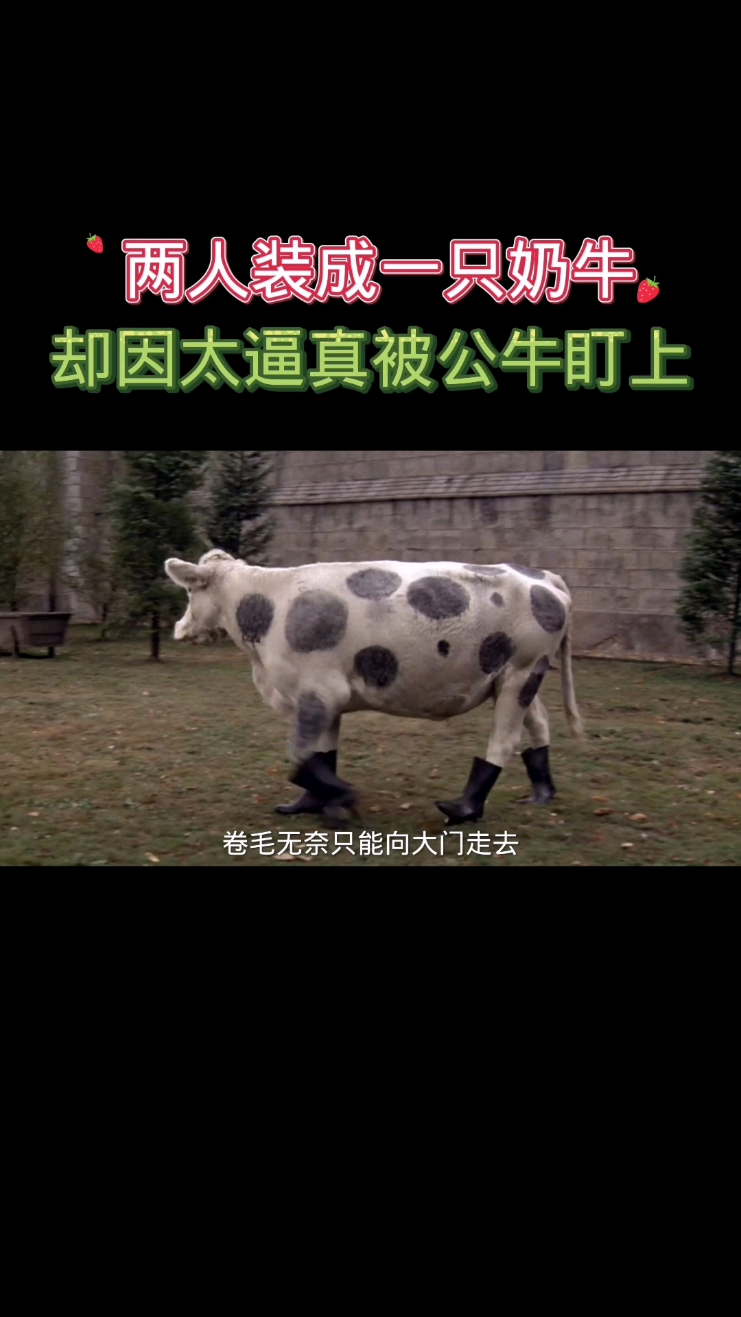 好看电影两人伪装成一只奶牛不料太逼真而被一只公牛盯上