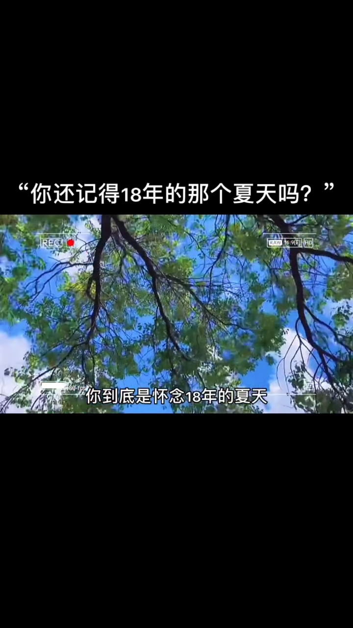 怀念18年的夏天因为那个夏天除了热什么都好