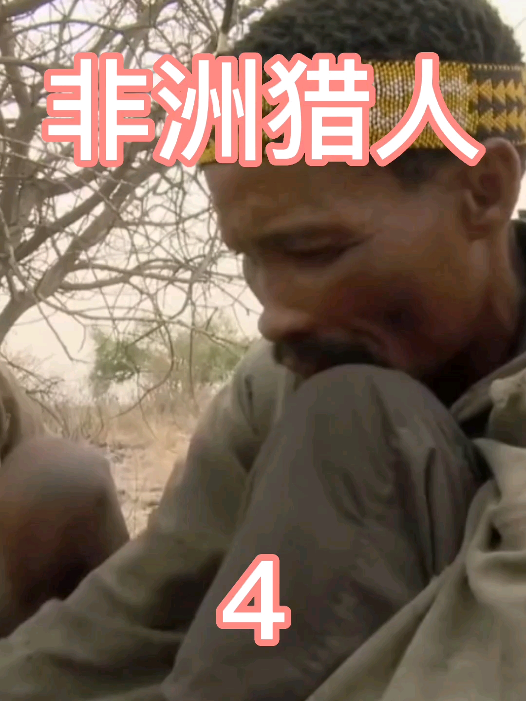 非洲动物纪录片非洲猎人与花豹夺食钻豪猪洞穴掘地五米将豪猪挖出国外