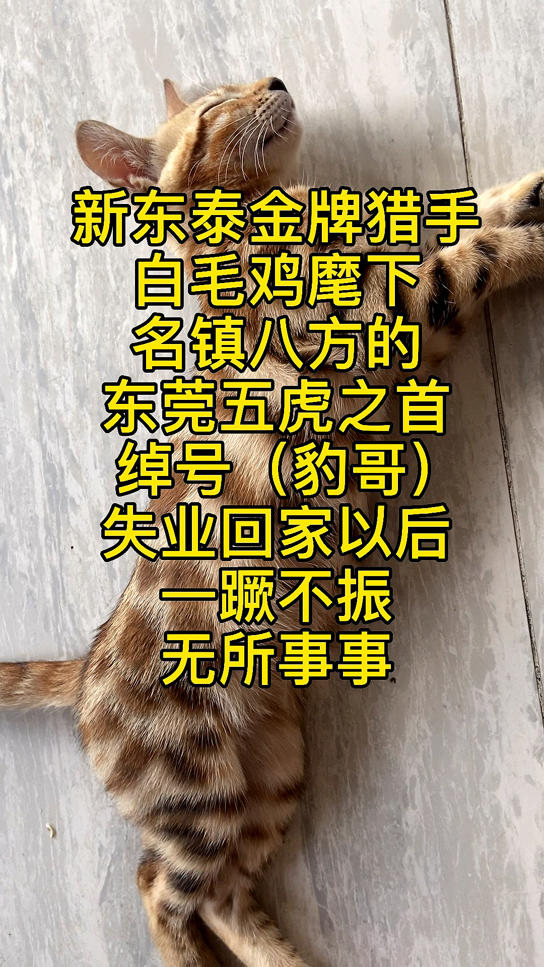 #我家萌宠成精了#曾经独霸一方的豹哥,失业回家后天天睡懒觉