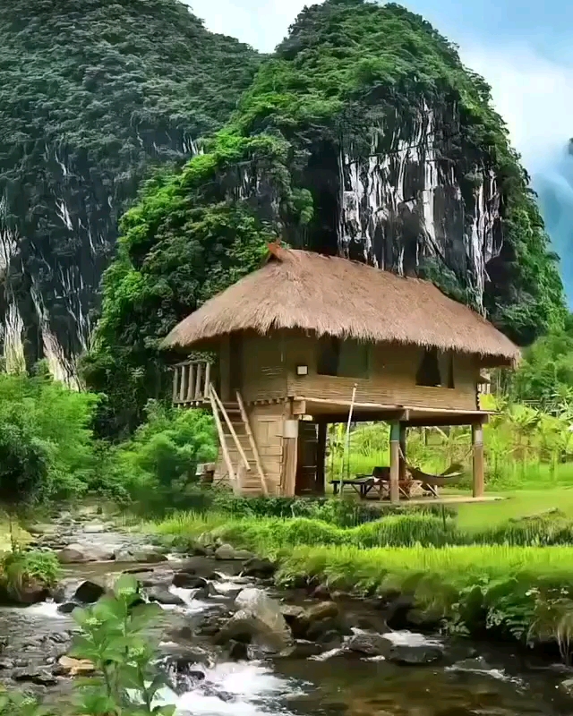 最美的风景#绿树村边合,青山郭外斜