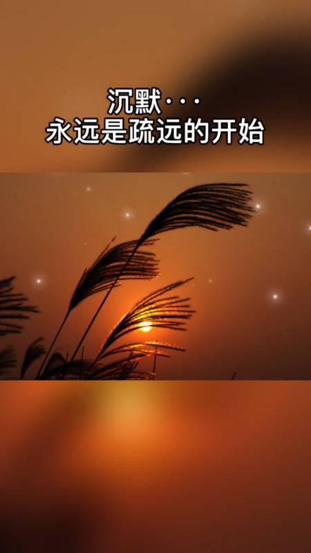 情感故事#沉默……永远是疏远的开始,两个人之间没有联系就没有感情