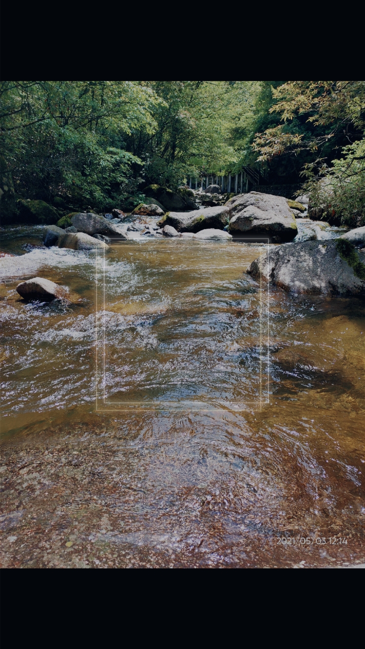 那清清的河水