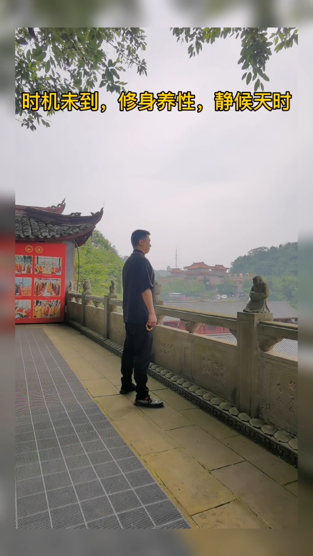 你好,夏天#潜修15年是时候出山了
